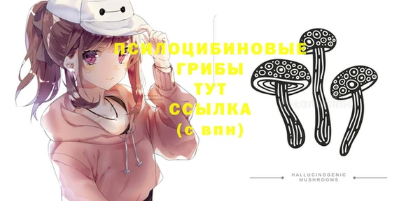 стафф Верхний Тагил